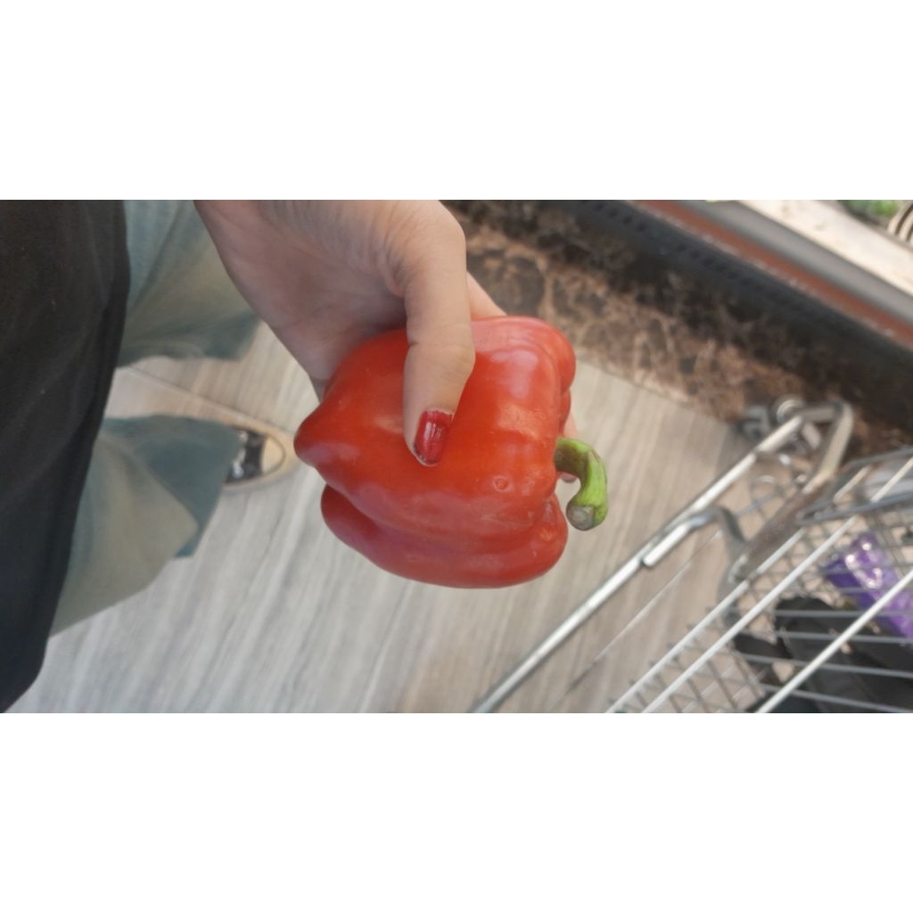 

Paprika segar untuk sayur bumbu sayur olahan masakan produk masakan paprika merah kuning hijau orange