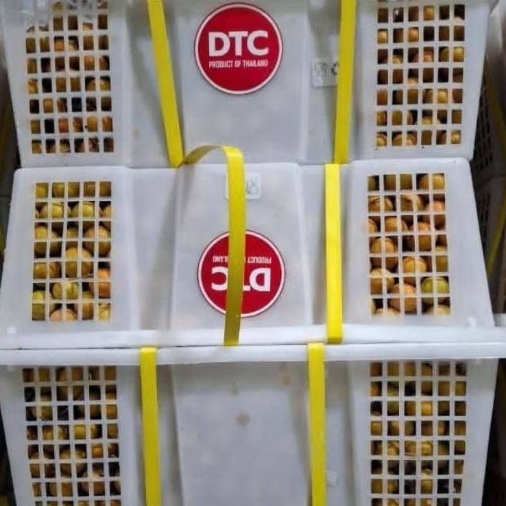 

kelengkeng 1 keranjang sticker merah 11kg