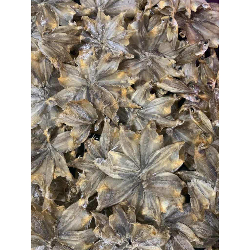 

[100G] IWAK SAPAT KARING | IWAK KARING SAPAT NAGARA | IWAK KARING TAWAR