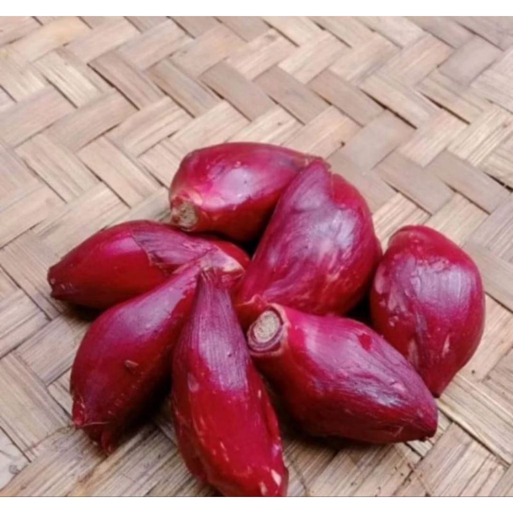 

bawang dayak asli bawang tiway 1kg