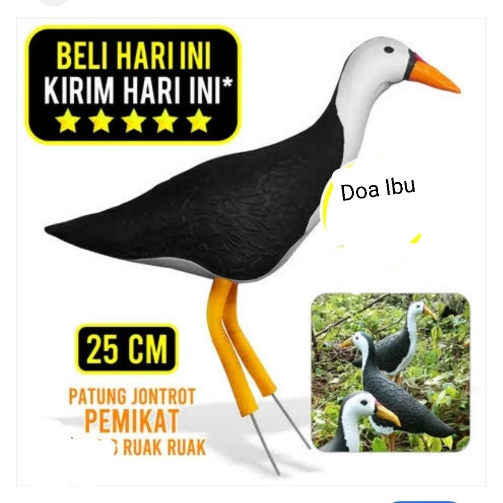 jontrot patung burung ruak ruak