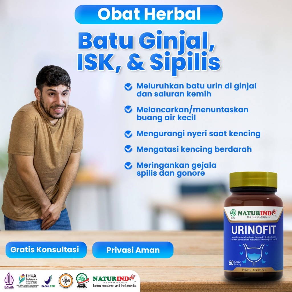 Obat Batu Ginjal Kencing Batu Nyeri Pinggang Nyeri Buang Air Kecil Kencing Berbusa Urinofit