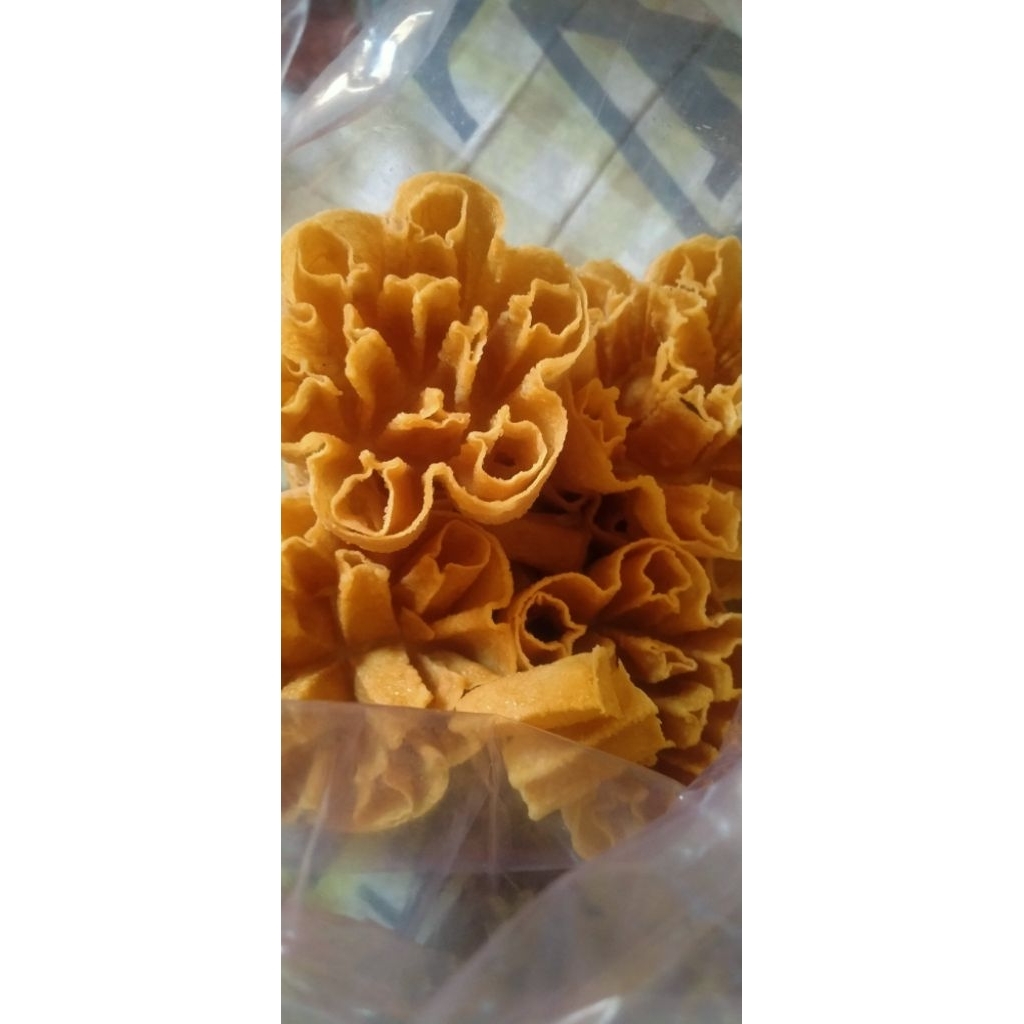 

Saroja Kembang goyang khas pangandaran