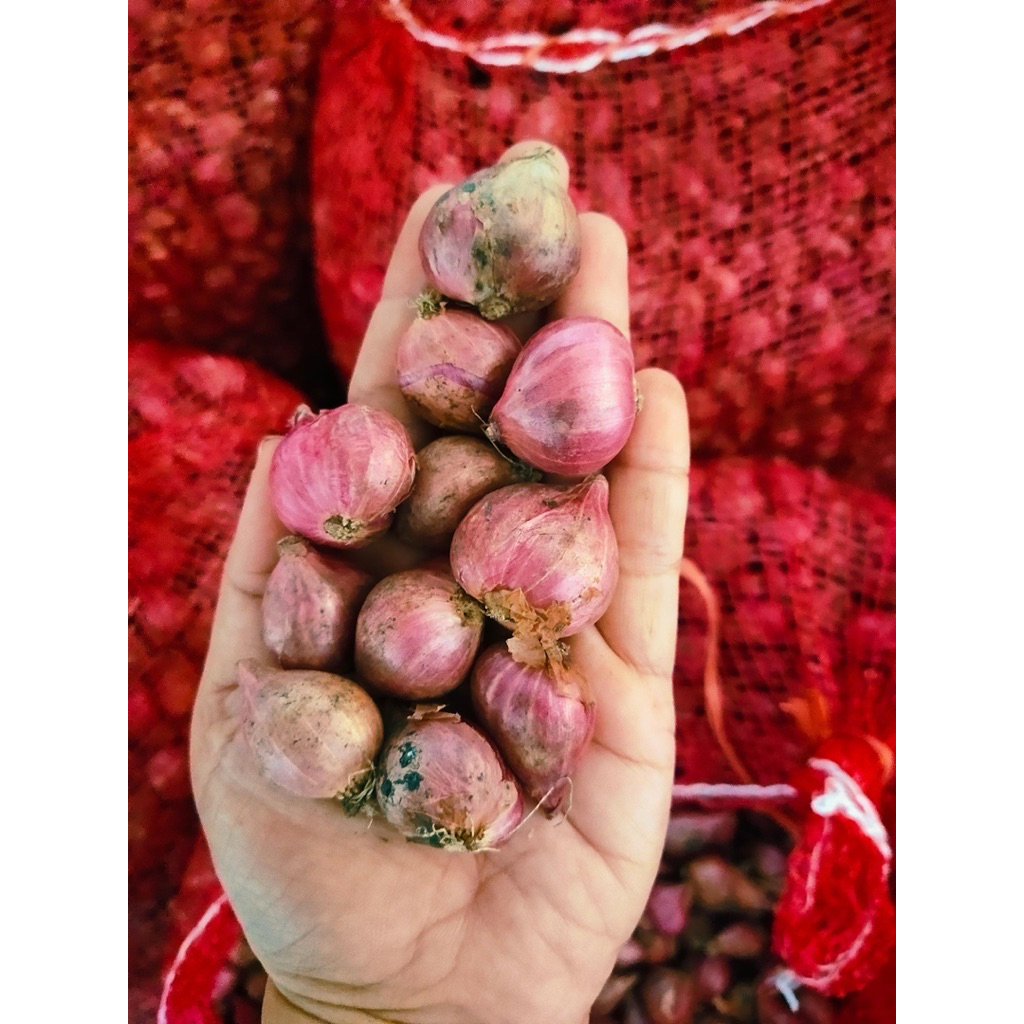 

Brambang Bawang Merah 1kg 1/2kg murahh