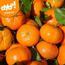 

Jeruk Wogan Daun 1 Kg