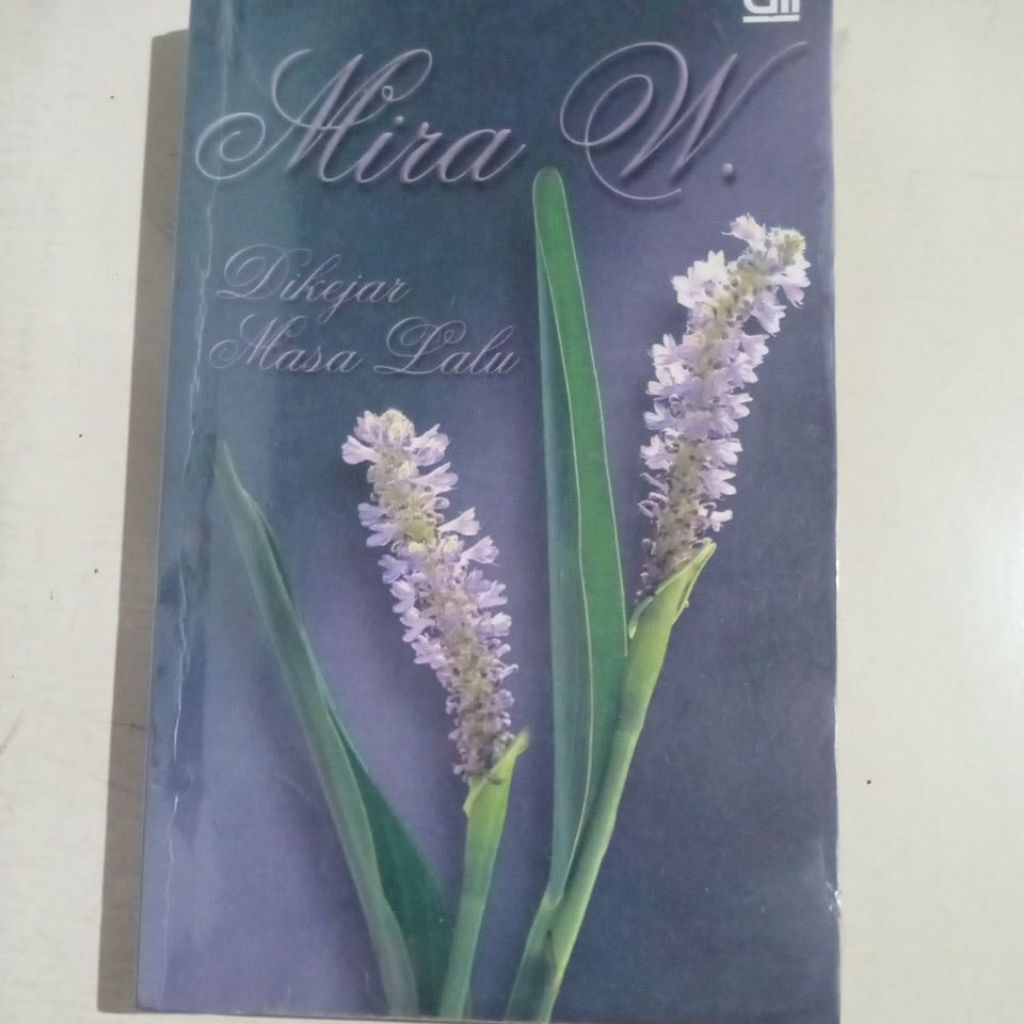 Novel judul Dikejar Masa Lalu. Mira W.