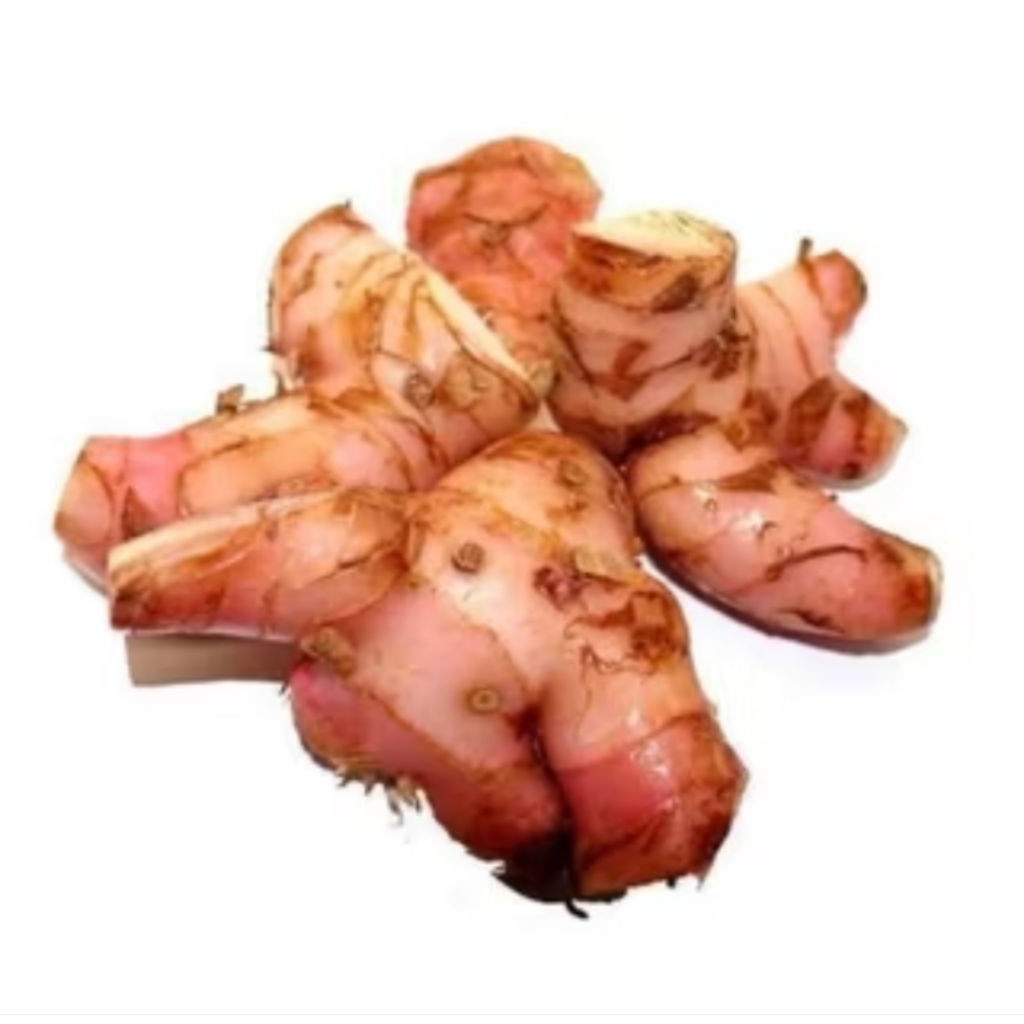 

lengkuas /Laos/LAJA segar fresh Termurah terlaris langsung dari pertanian sendiri