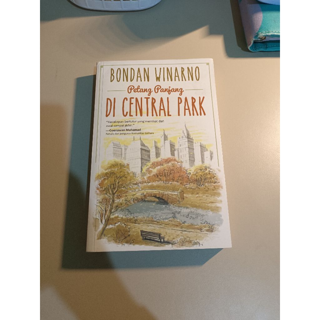novel petang panjang di central park karya Boendan Winarno (preloved)