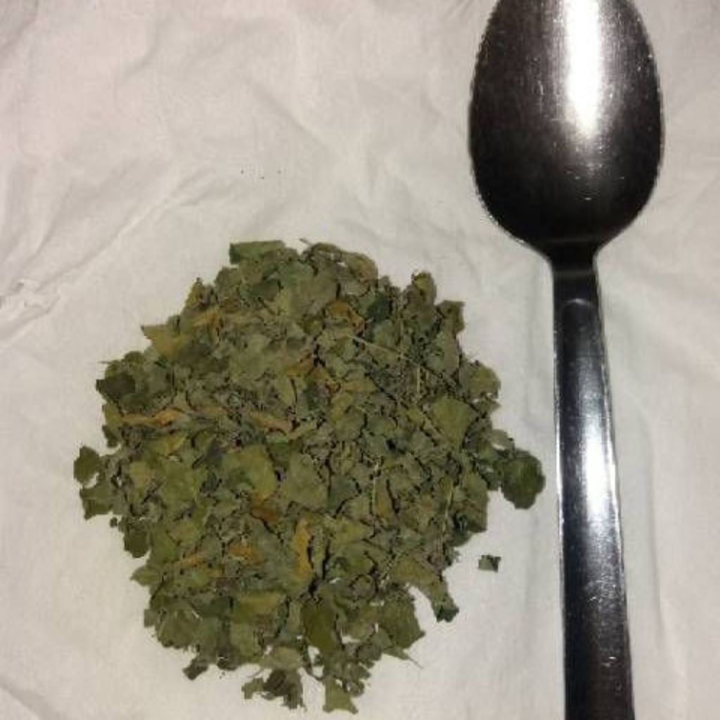 

DAUN KELOR KERING.Daun herbal.kelorberkhasiat.kelor