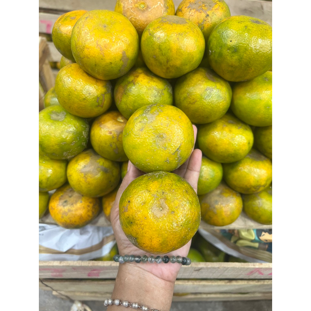 

JERUK MEDAN 1 KG