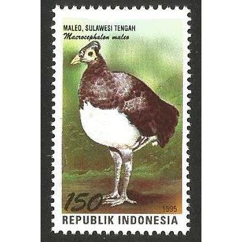 

A 10681 SATU BUAH PRANGKO INDONESIA TAHUN 1995 TEMA SATWA KHAS PROVINSI SULAWESI TENGAH KONDISI MNH MINT NEVER HINGED