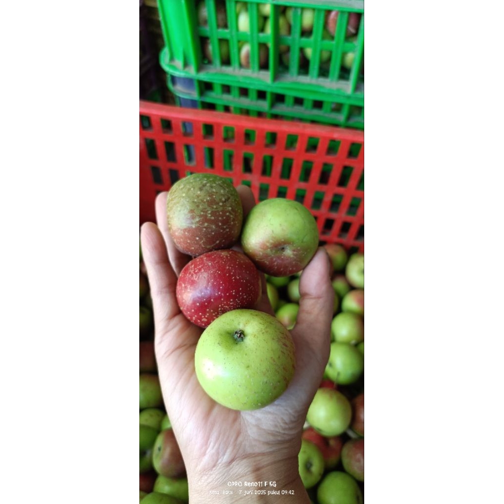 

apel roombeauty 25-27/kg