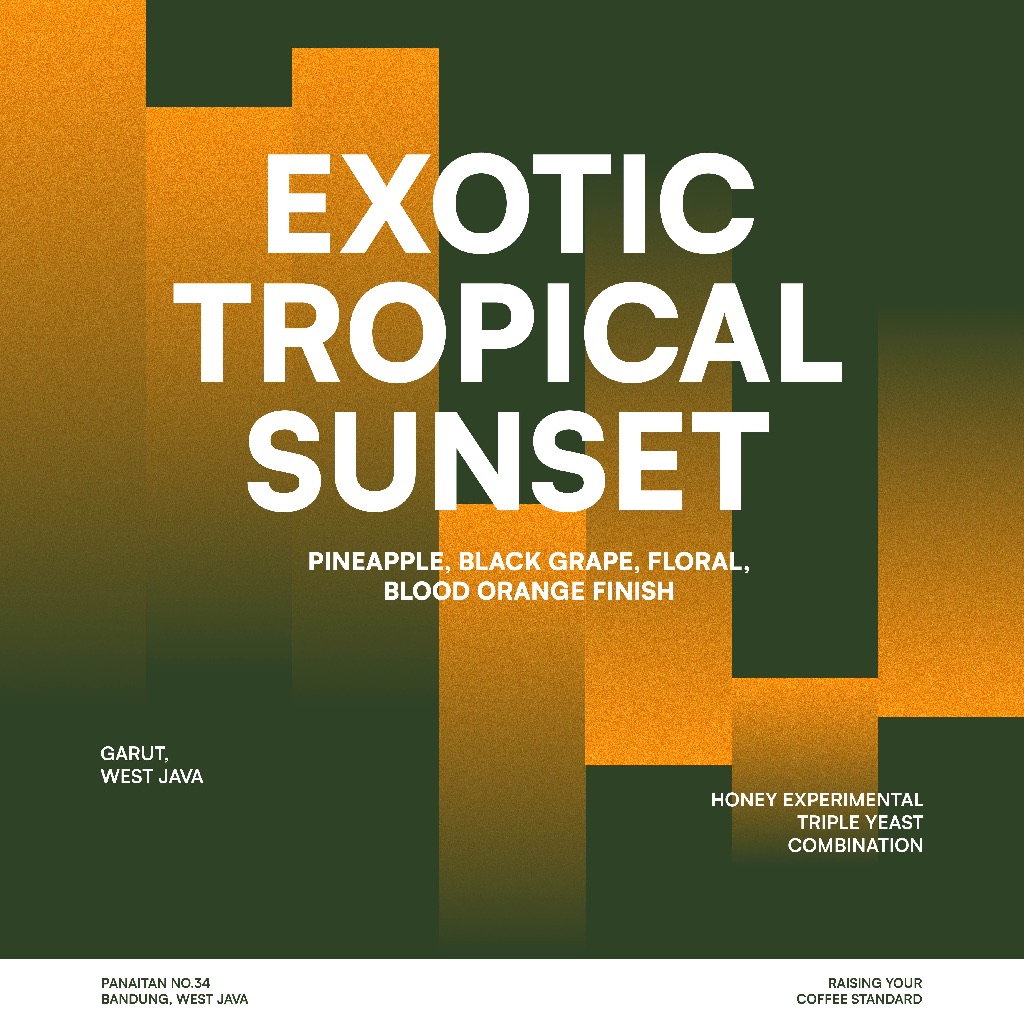 

JACK RUNNERS ROASTERY - EXOTIC TROPICAL SUNSET - ROASTED COFFEE BEANS