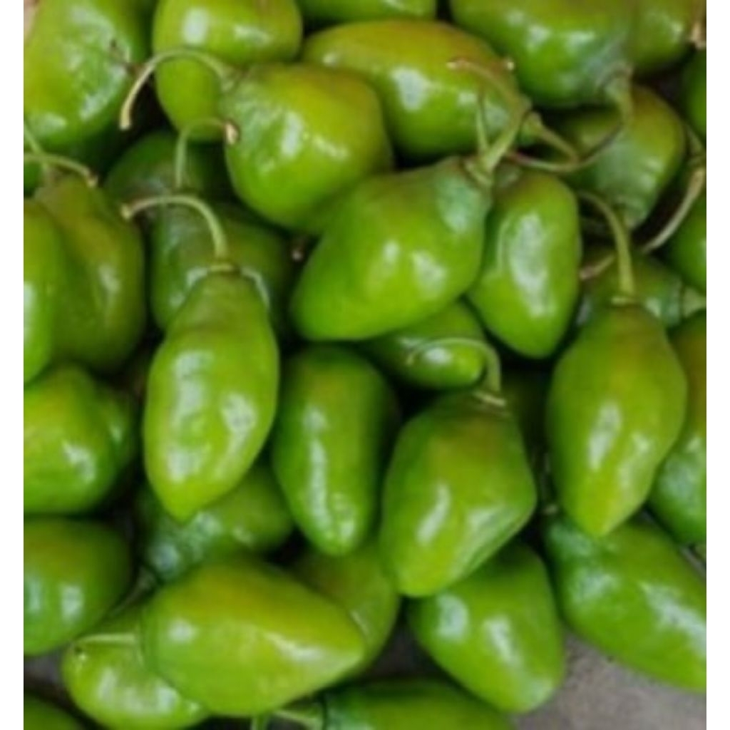 

Cabe Gendot