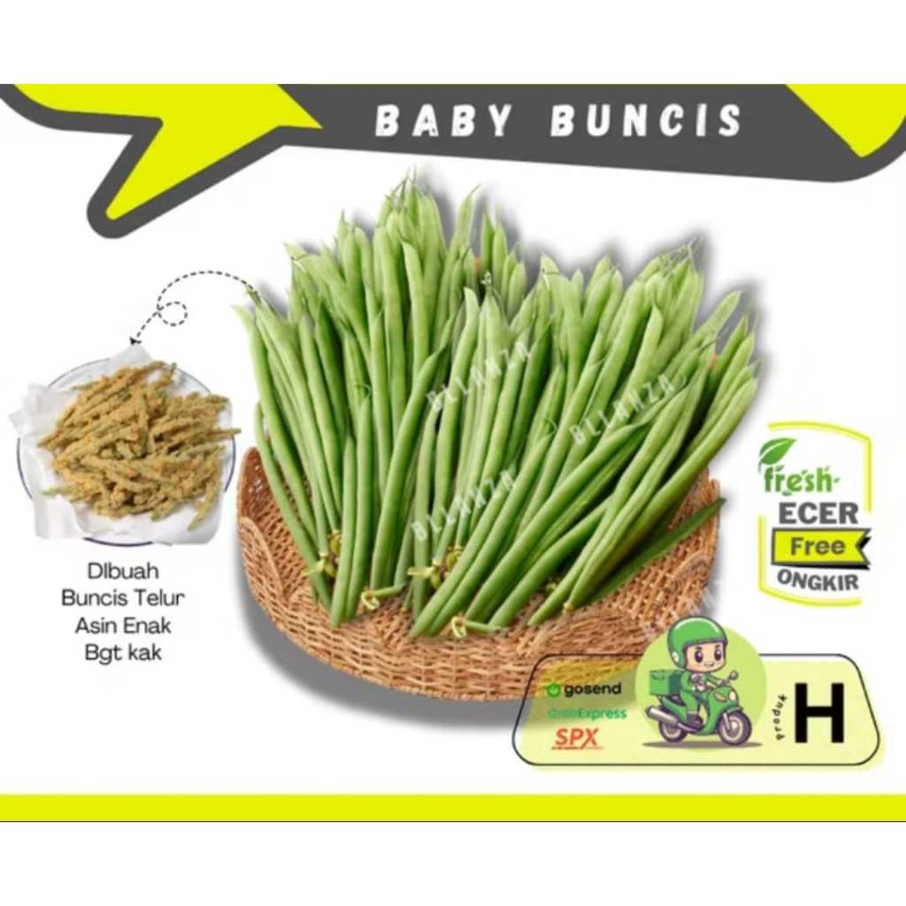 

Tokotenan // Buncis Baby -- Sayur Gunung Ecer (H)