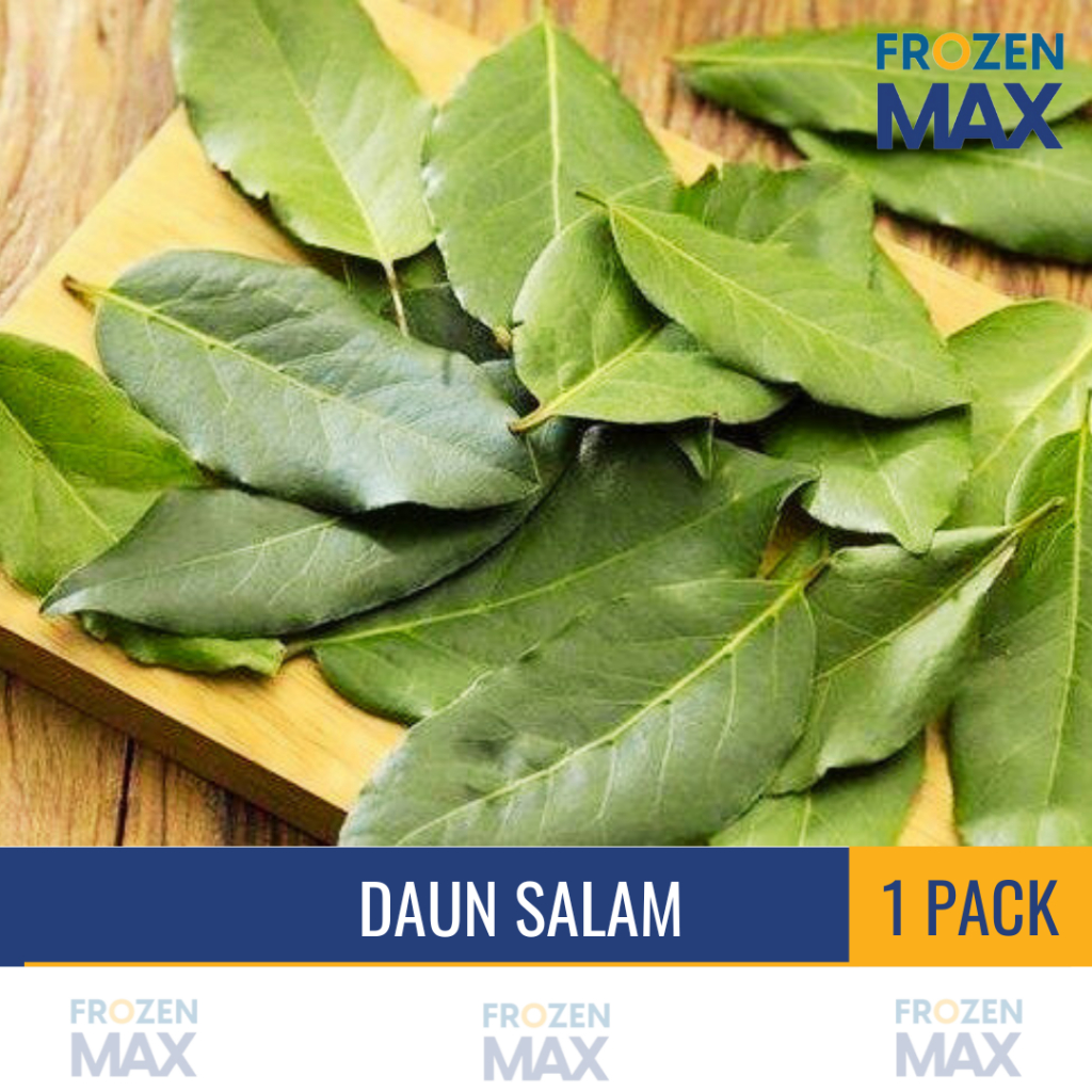 

Daun Salam Segar Packing | Daun Manting | Bay Leaf | Daun Rempah