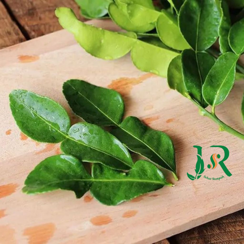 

Daun Jeruk Fresh 30 gr (20 lembar) Bahan JSR segar Kirim Cepat