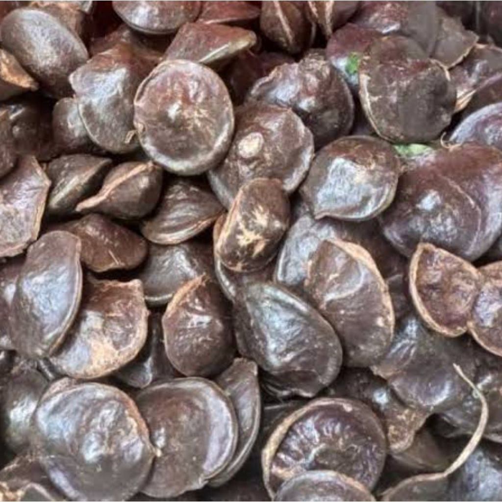 

JENGKOL kepek (belum kupas) Muda dan Tua Fresh 1kg