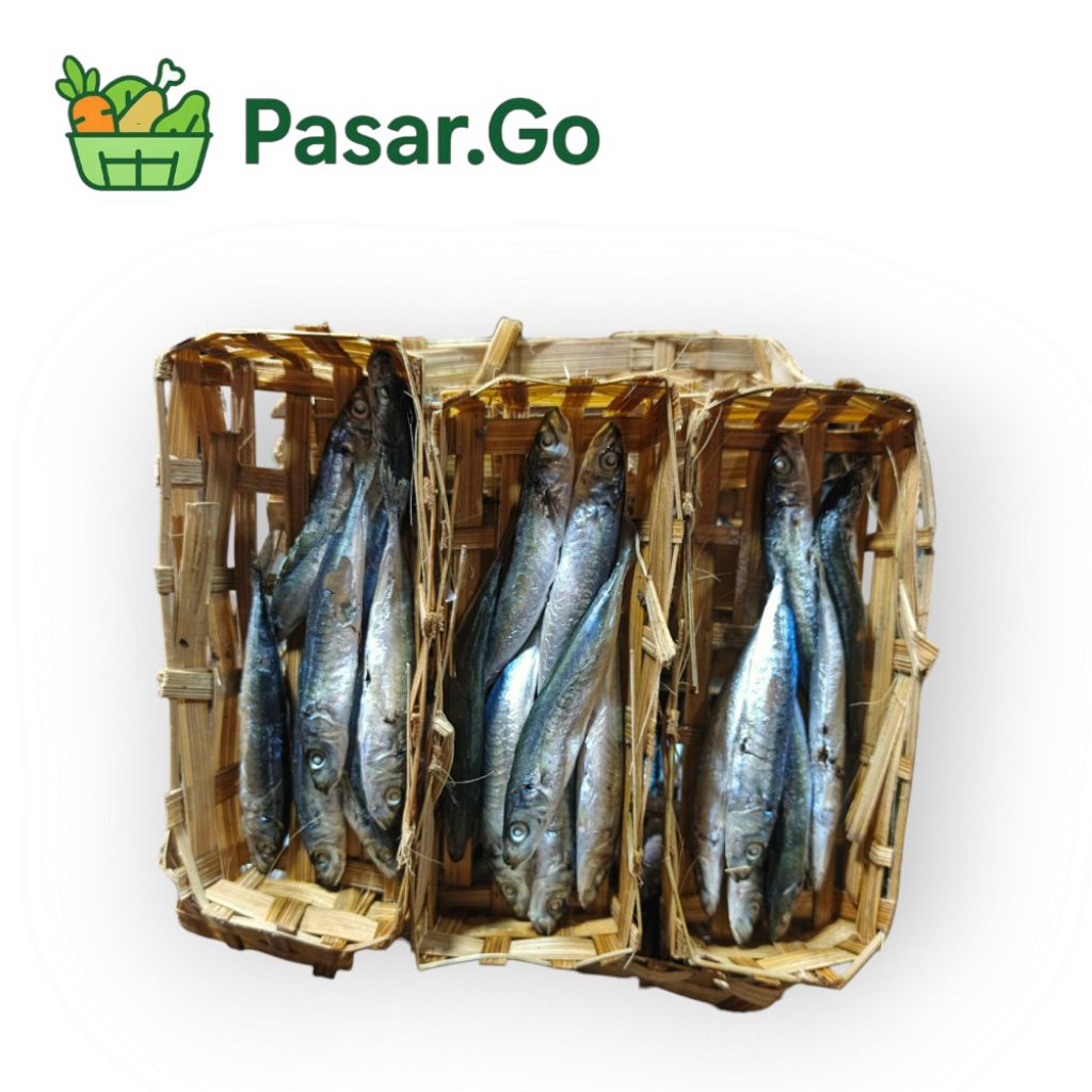 

ikan marning/layang kecil