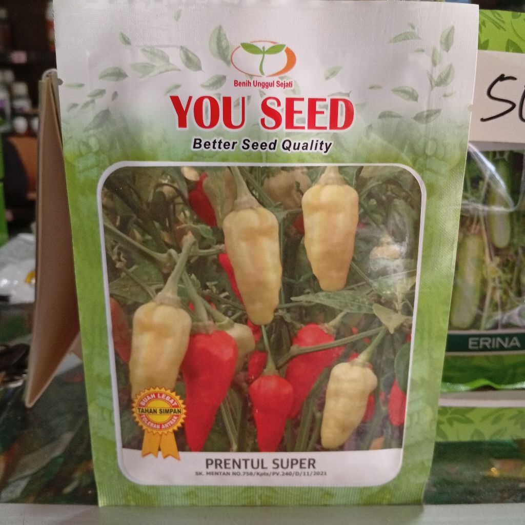 benih cabai rawit prentul you seed 10 gram