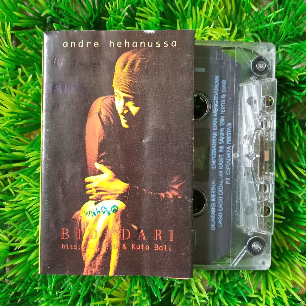 KASET PITA ANDRE HEHANUSSA - BIDADARI