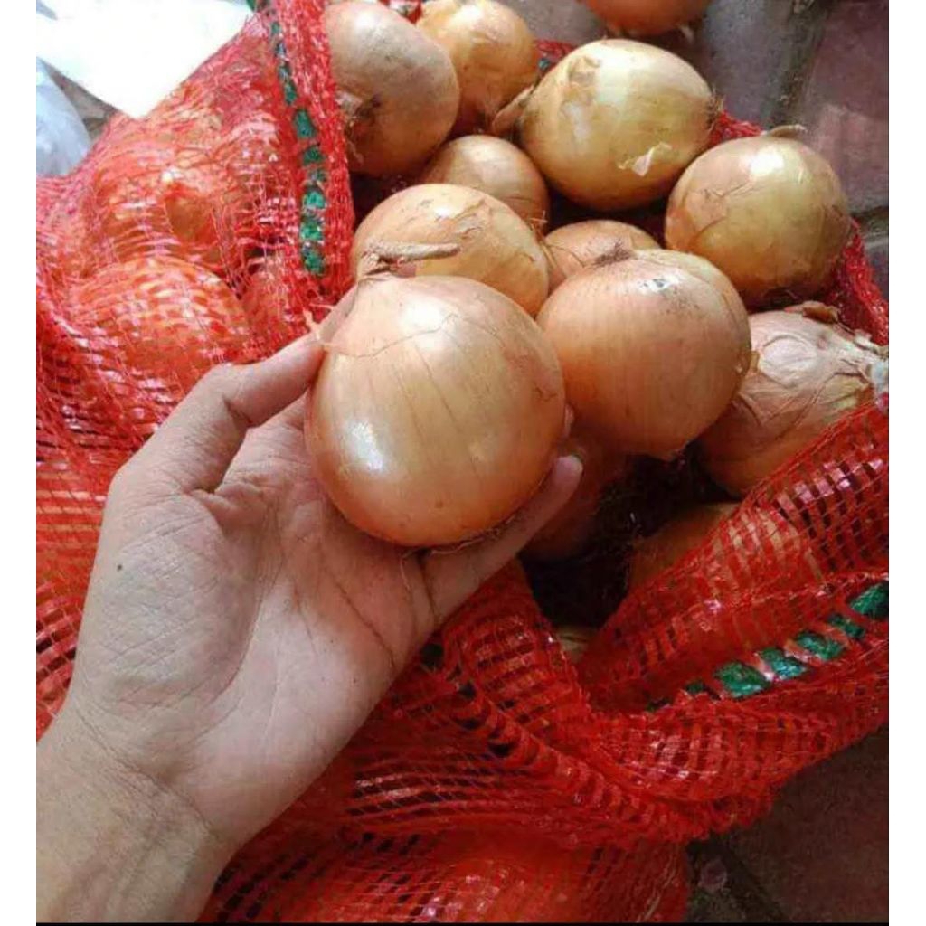 

BAWANG BOMBAY FRESS 500g