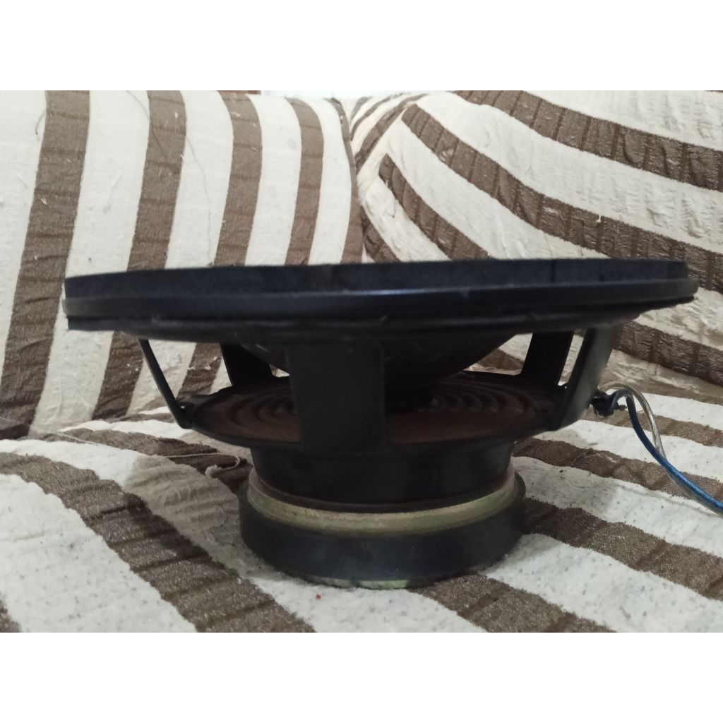 Subwoofer Pioneer Mexico 10 inch Jozz Gandoz
