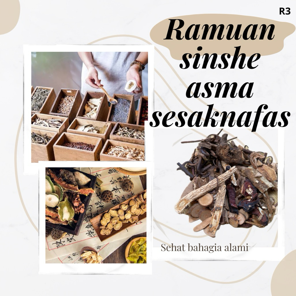 

asma sesak nafas alami herbal sinse ramuan shinse