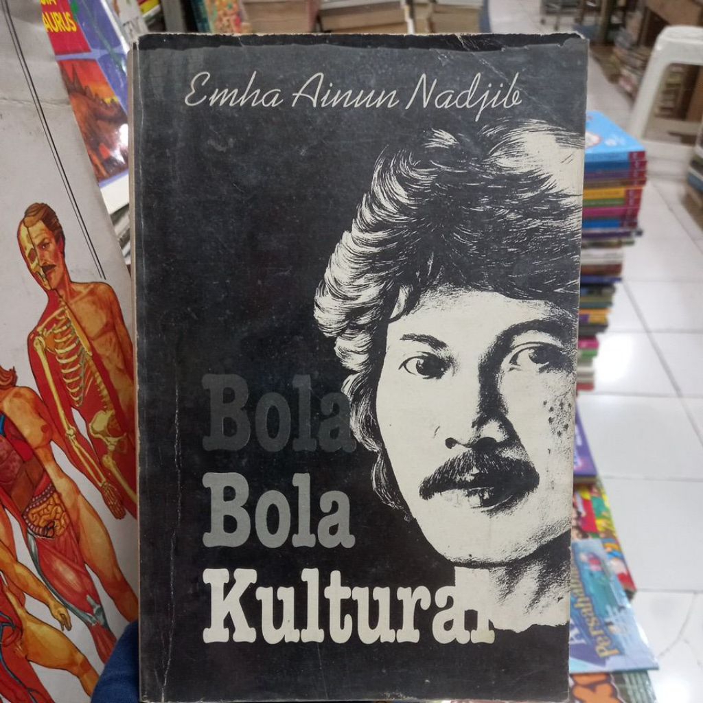 BOLA BOLA KULTURAL EMHA AINUN NADJIB