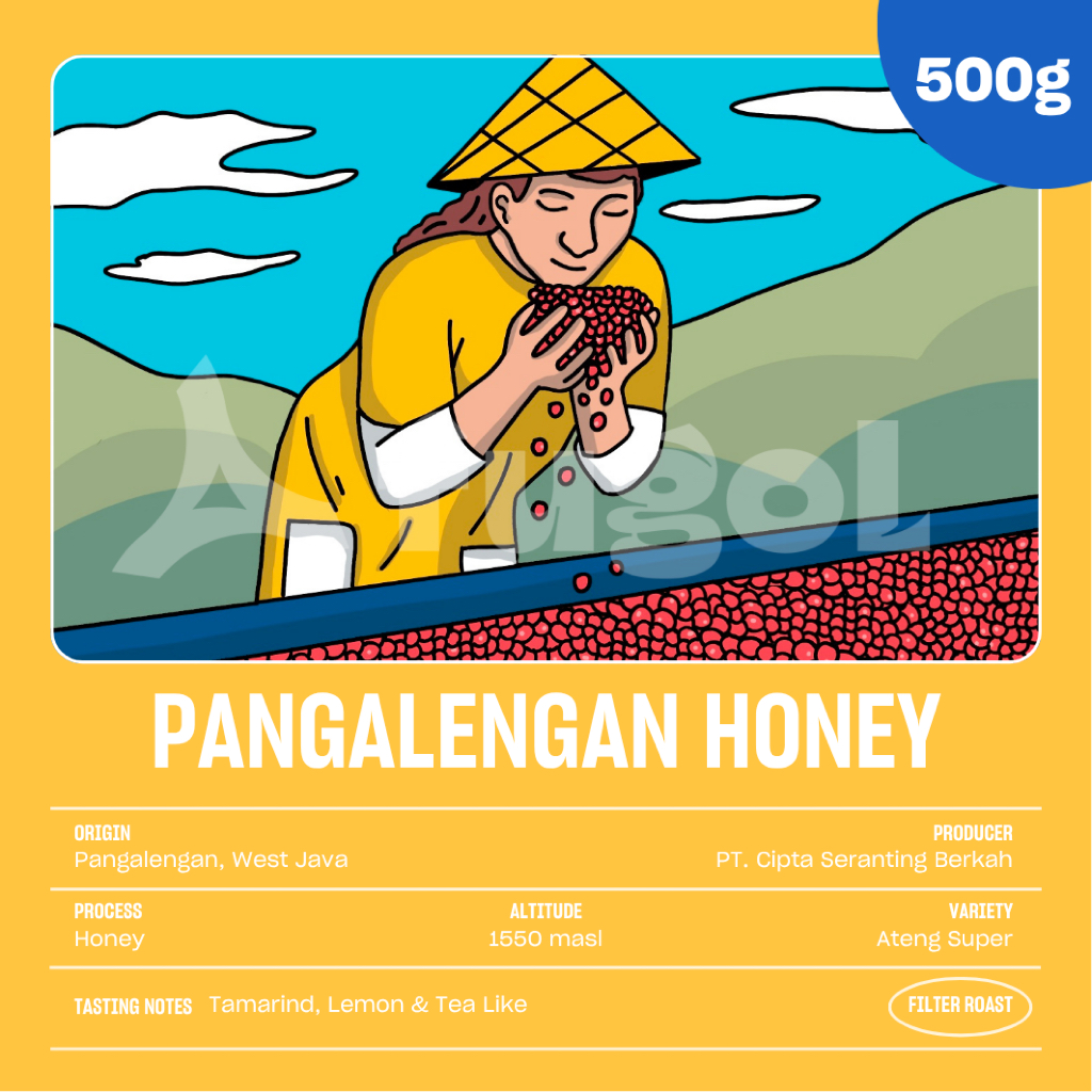 

Biji Kopi Arabica Pangalengan Honey (500 gram) Specialty Single Origin