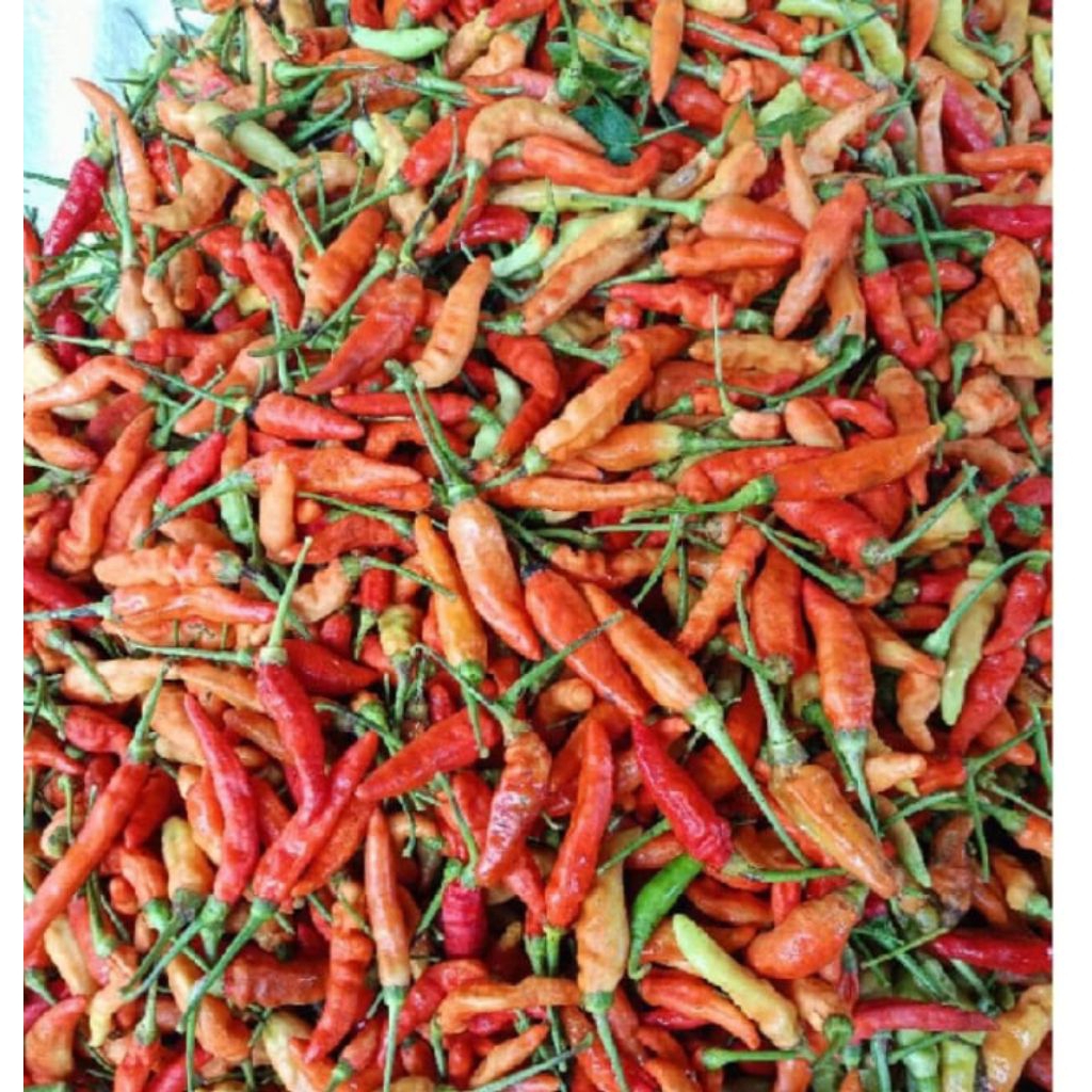 

cabe seperti di foto 1kg
