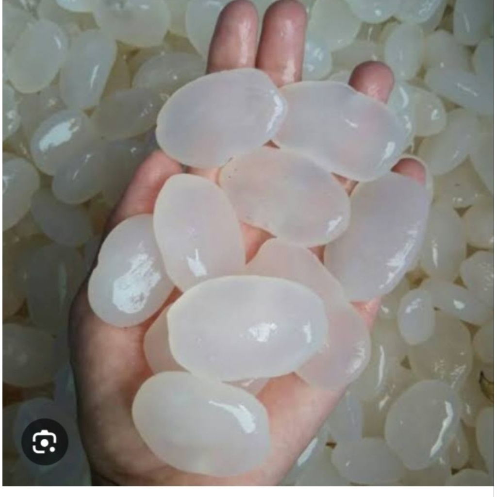 

kolangkalingsegar1kg