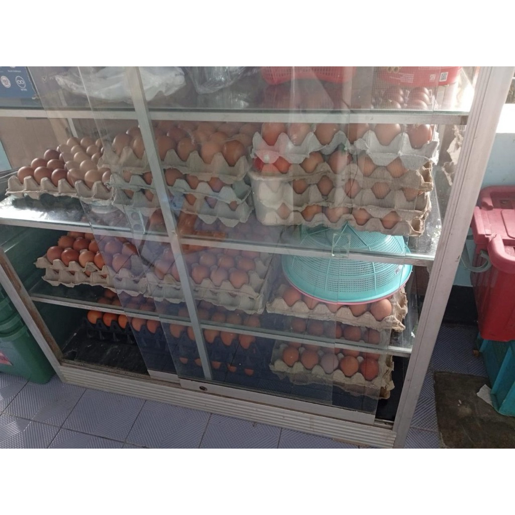 

Telur Ayam Ras