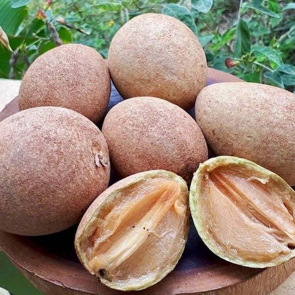 

SAWO MATENG/MENTAH 1kg
