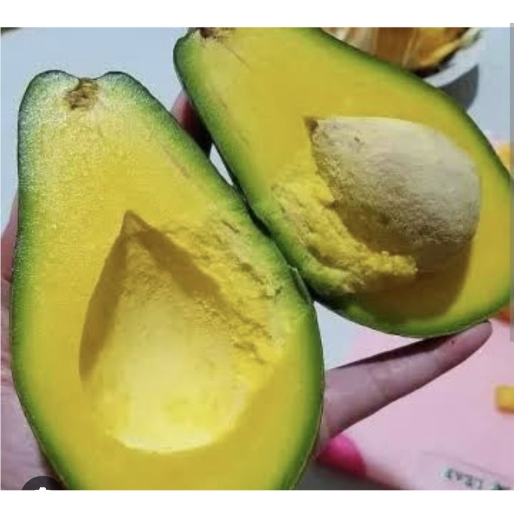 

buah alpukat aligator 1 kg asli/premium/jaminan/amanah