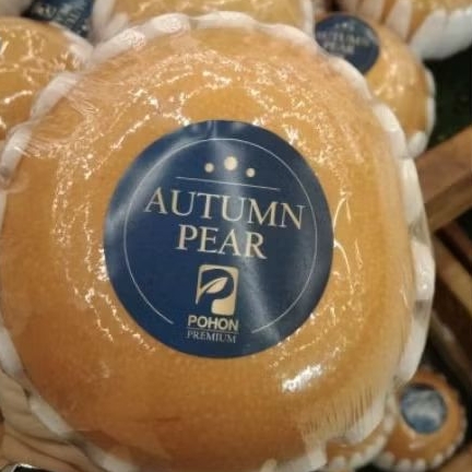 

Buah pear Autumn super segar premium pohon 1 kg