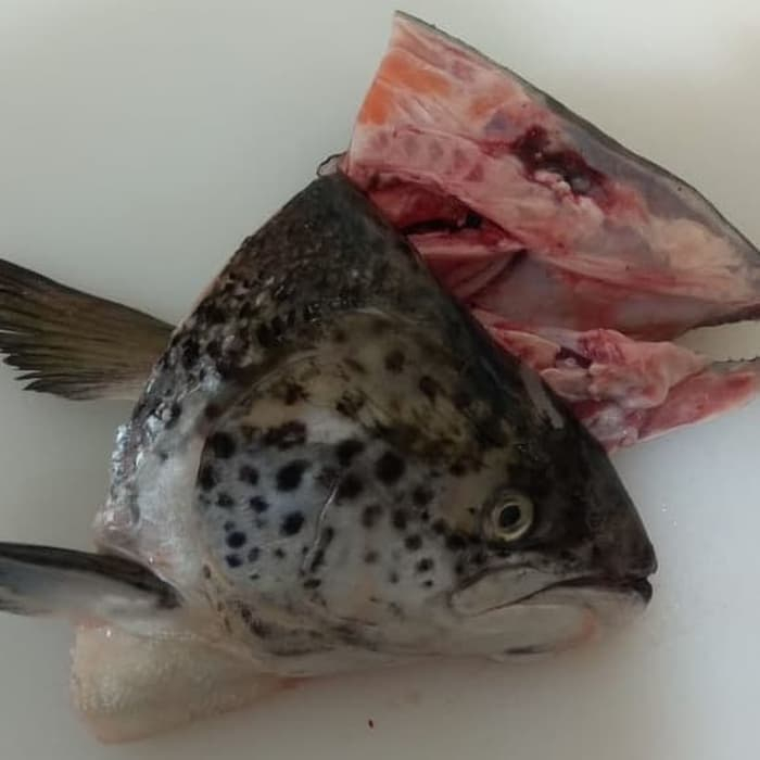 

Salmon Head (Kepala Salmon) - Frozen Seafood @Pc GOJEK
