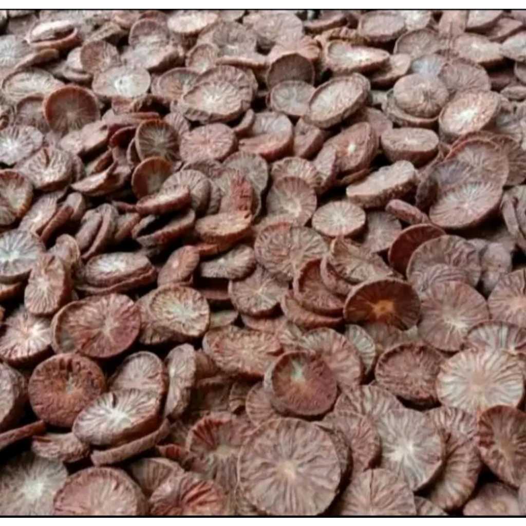 

PINANG KERING, Biji Pinang Kering, Pinang Iris 1 kilo gram