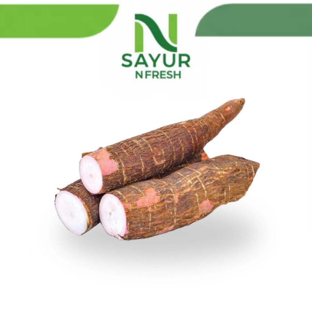 

Singkong farietas JARAKTOWO dari lereng lawu