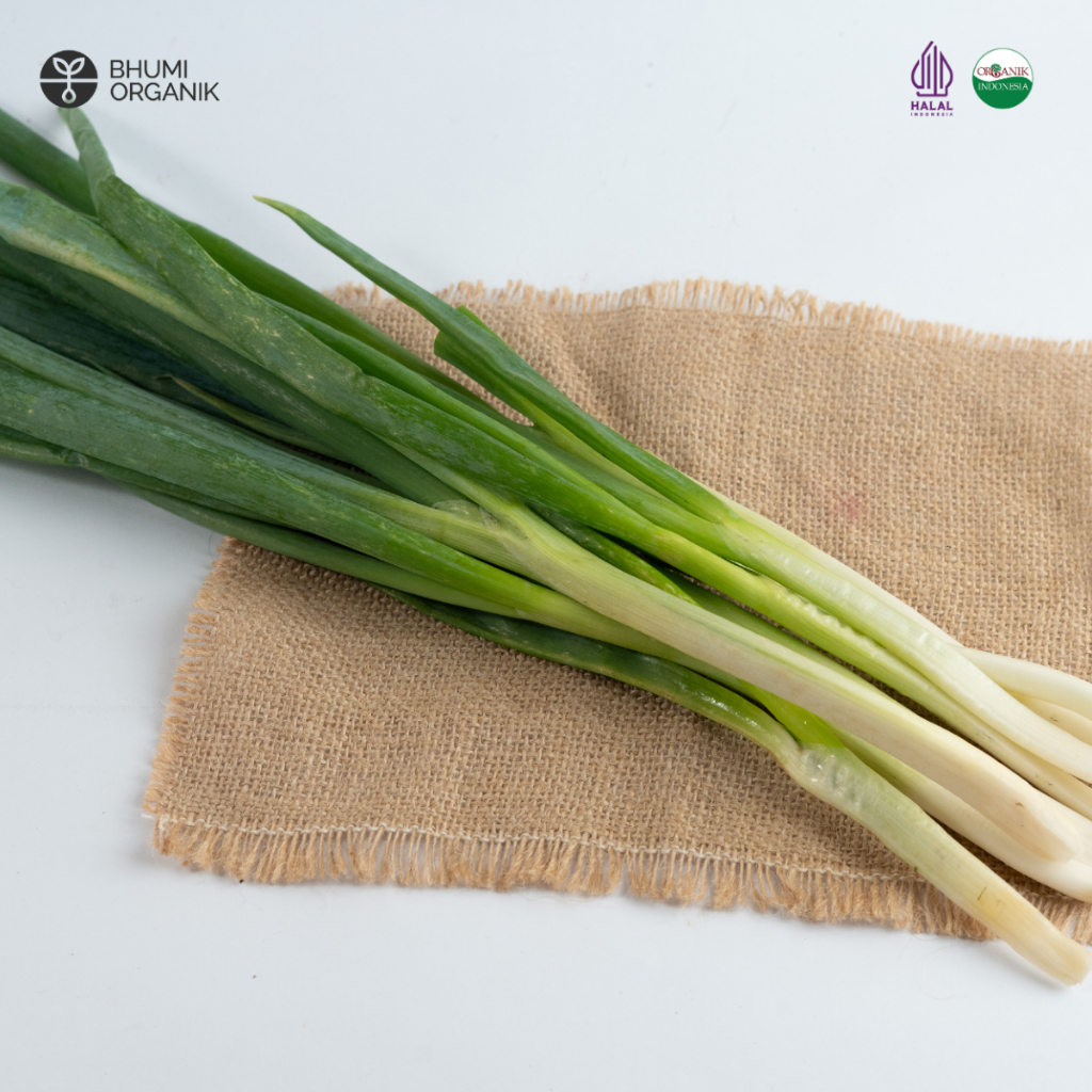 

Daun Bawang Organik 200 gram - Ceritanik / Bhumi Organik - Green Onion Organic - Sayur Organik Murah - Sayur Organik Sehat - Sayur Organik Premium
