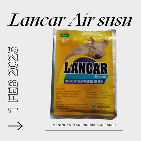 LANCAR AIR SUSU INDUKAN TERNAK SUPLEMEN PELANCAR AIR SUSU TERNAK BABI