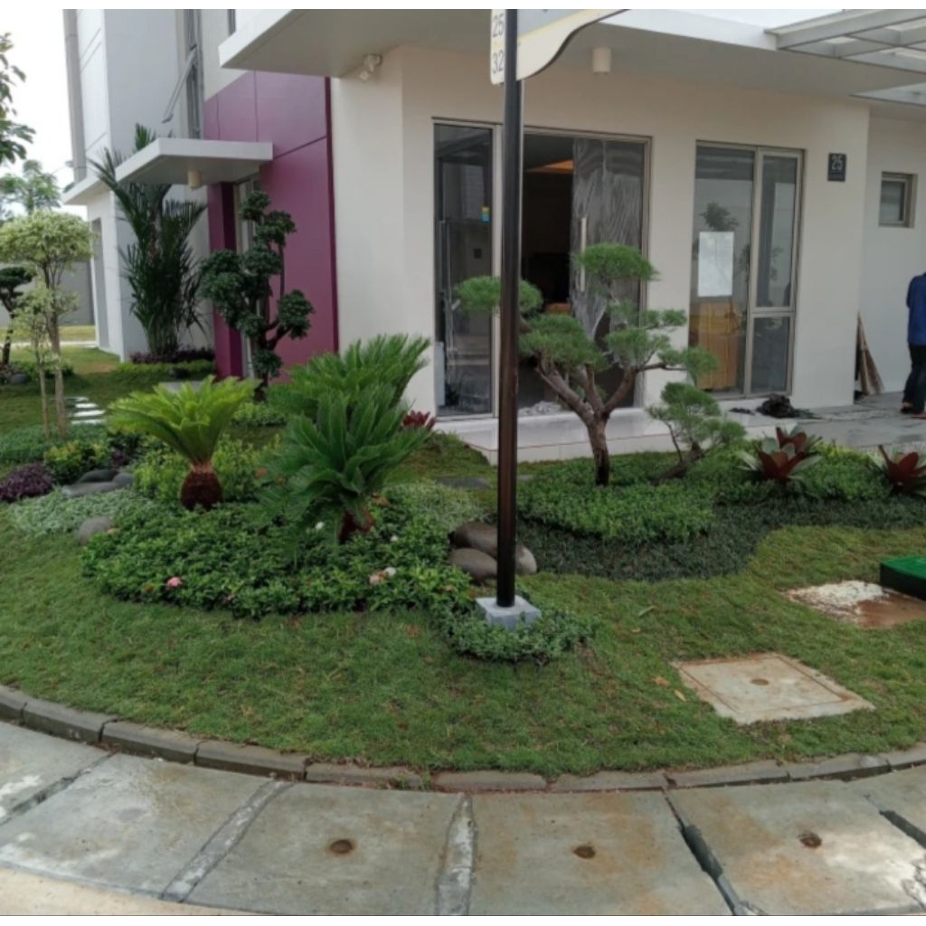 jasa Taman minimalis