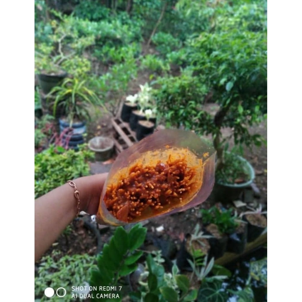 

Mie lidi Bumbu basah pedas asin,pedas manis dan pedas balado kemasan pouch