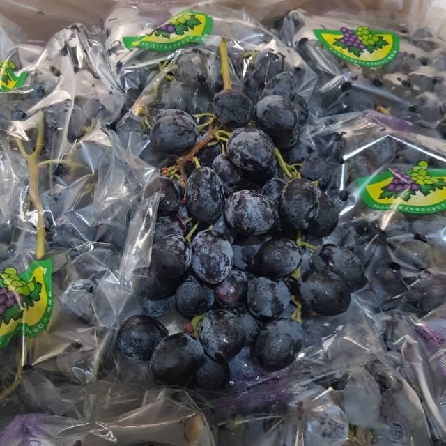 

Anggur Hitam Black Summer Autumn Royal Manis Tanpa Biji Buah Import Fresh Murah
