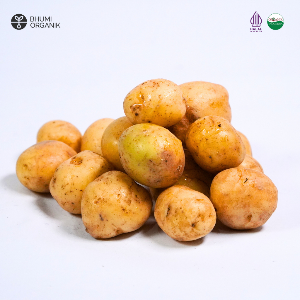 

Kentang Baby 500 gram - Ceritanik / Bhumi Organik - Baby Potato Organic - Sayur Organik Murah - Sayur Organik Sehat - Sayur Organik Premium