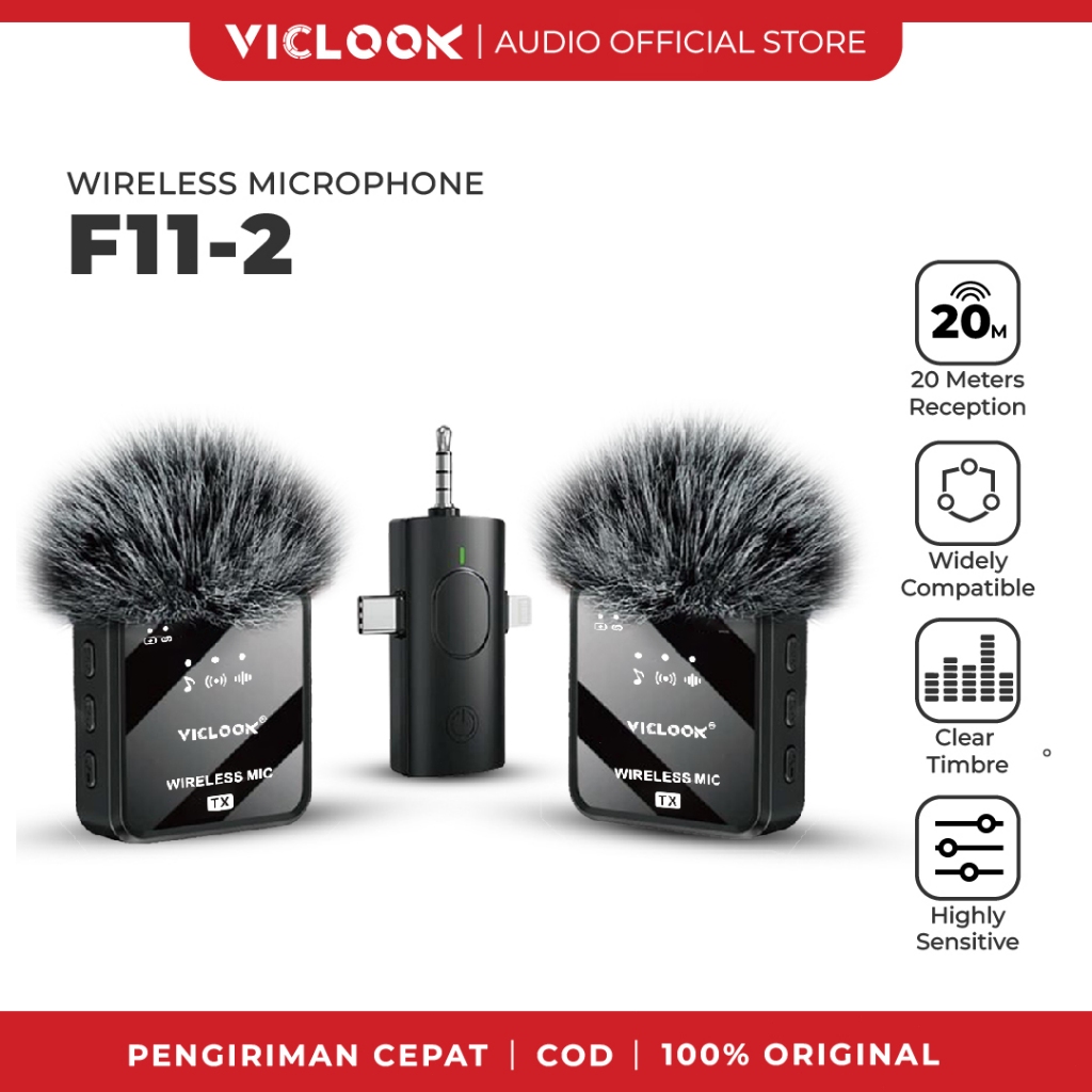 2 MIC 3in1
