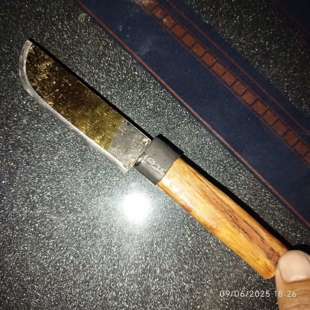 pisau dapur HSS julia DM05