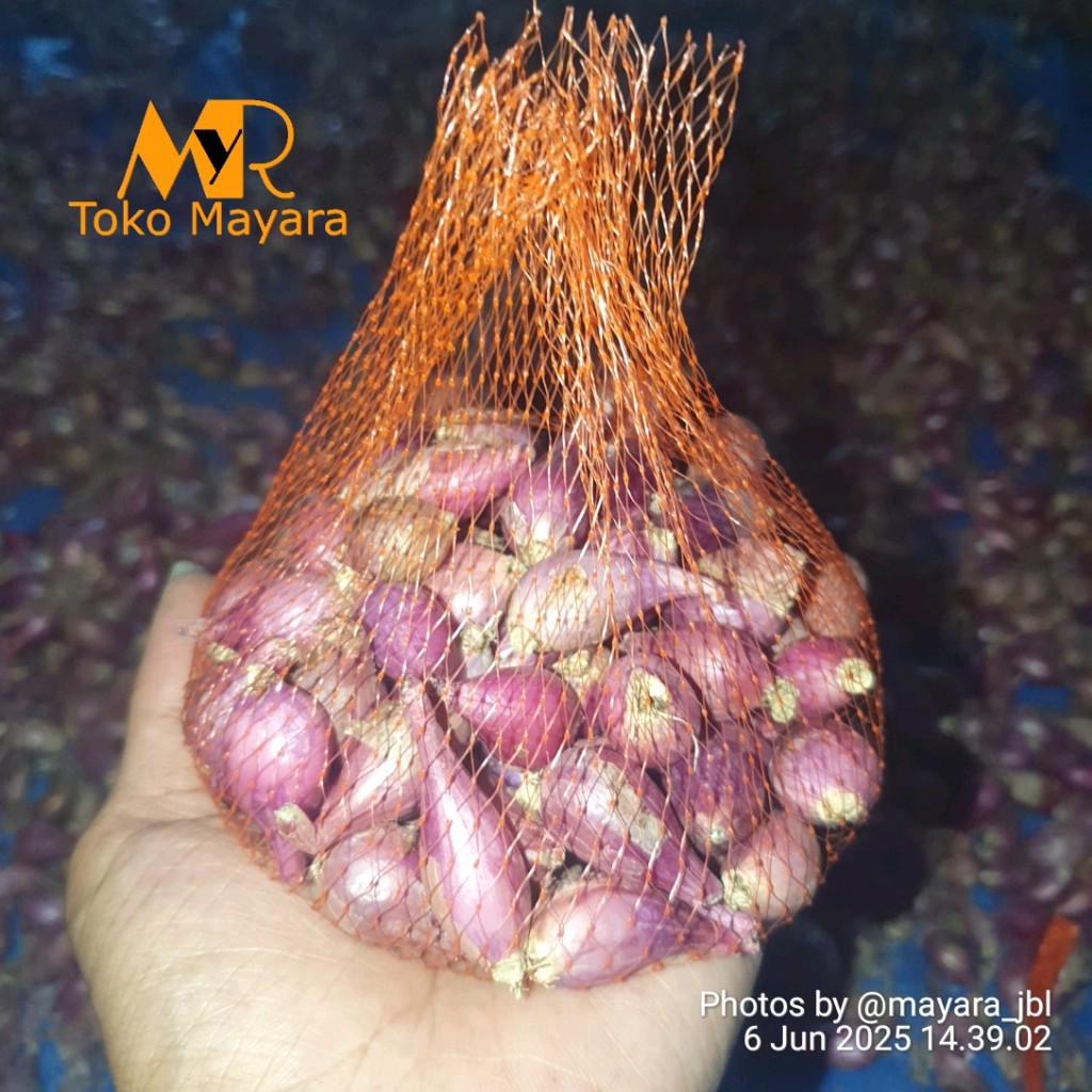 

Bawang Merah Kecil Brebes 1kg 500gr 250gr | Aroma Kuat | Brambang Asli Pedas Wangi