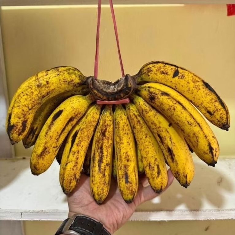 

PISANG BARANGAN MEDAN 1 SISIR