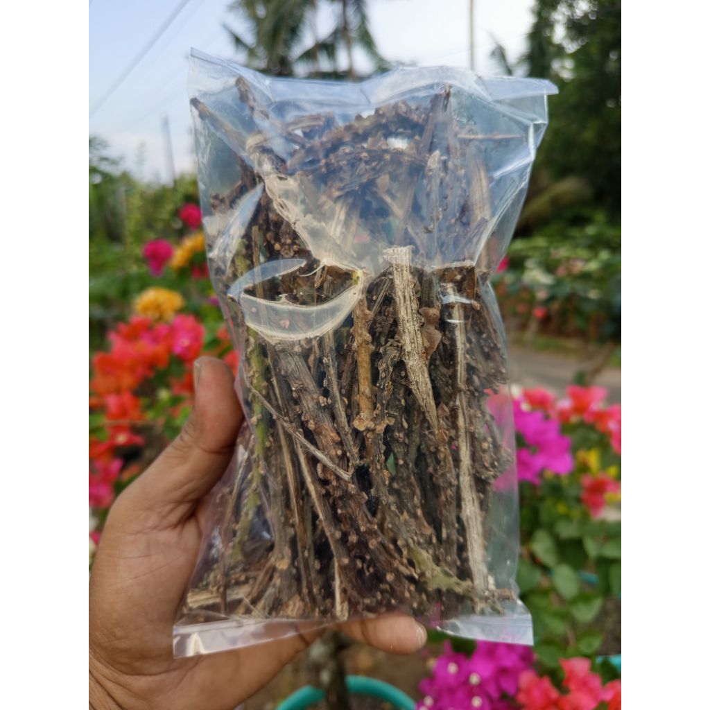 

butrowali kering berat 500g/ herbal alami menurunkan gula darah